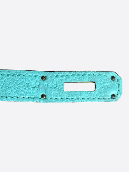 Hermes Tiffany Blue Togo & Gold Hardware Birkin 30