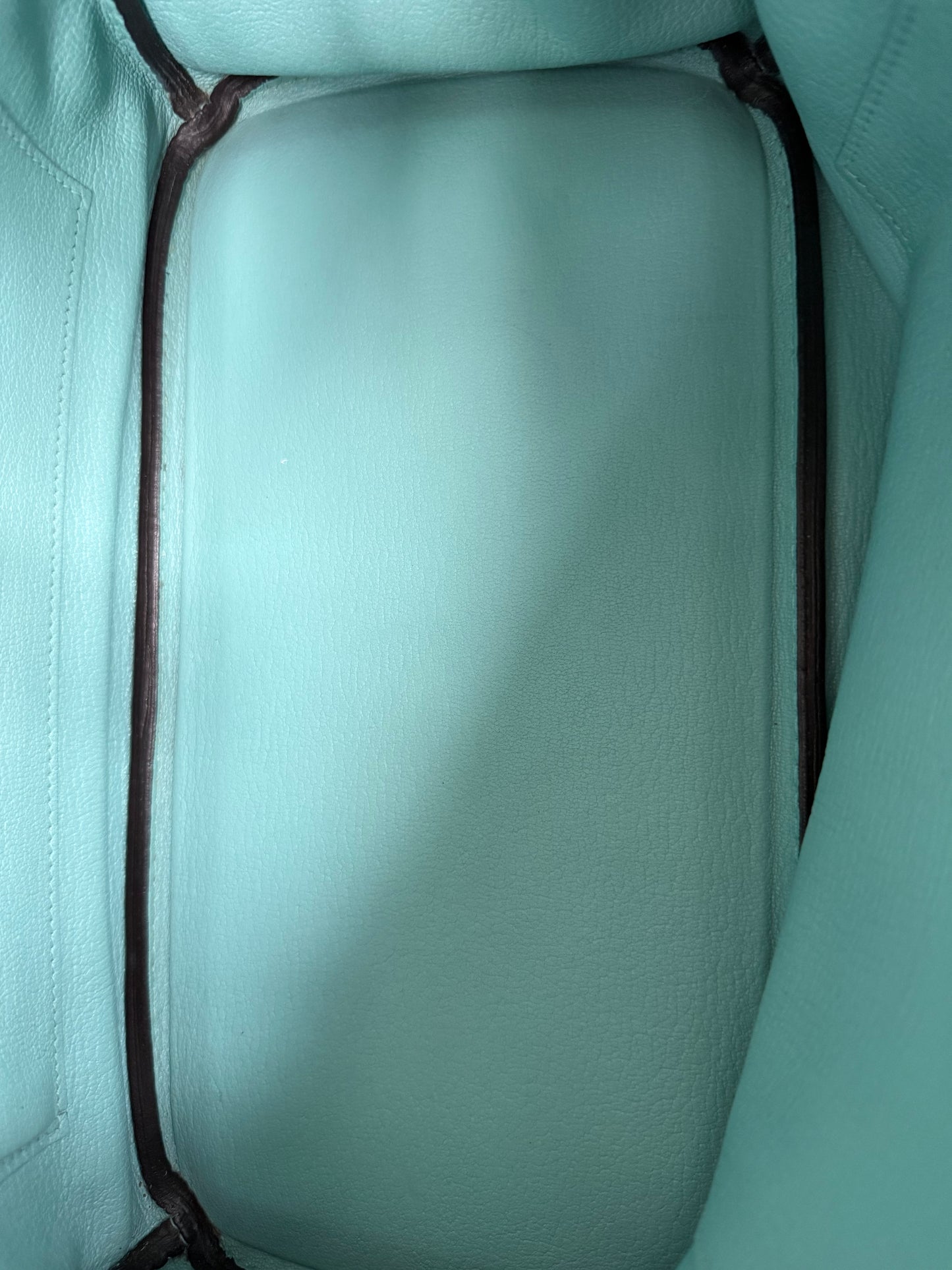 Hermes Tiffany Blue Togo & Gold Hardware Birkin 30