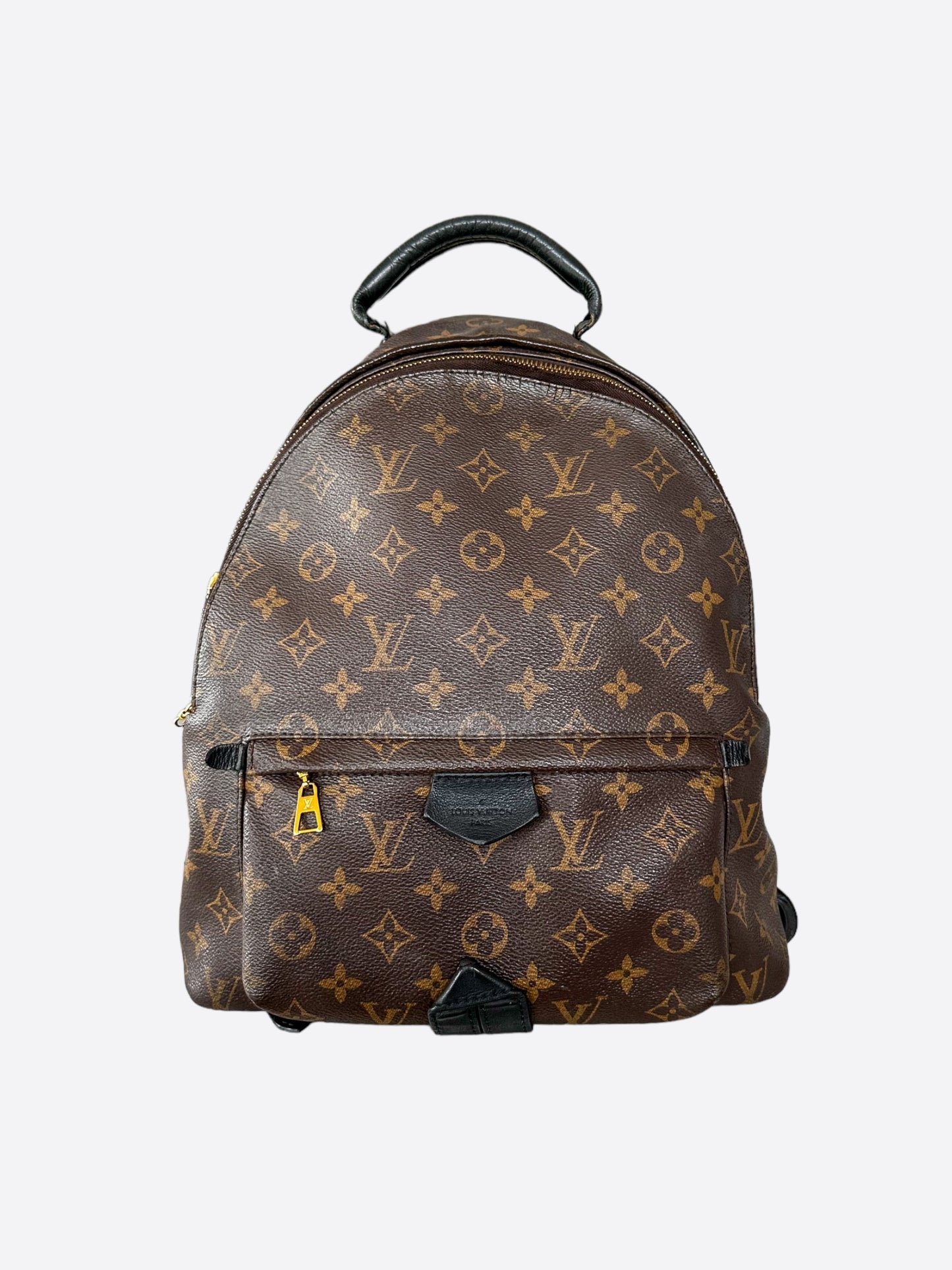 Louis Vuitton Brown Monogram Palm Springs Mini Backpack