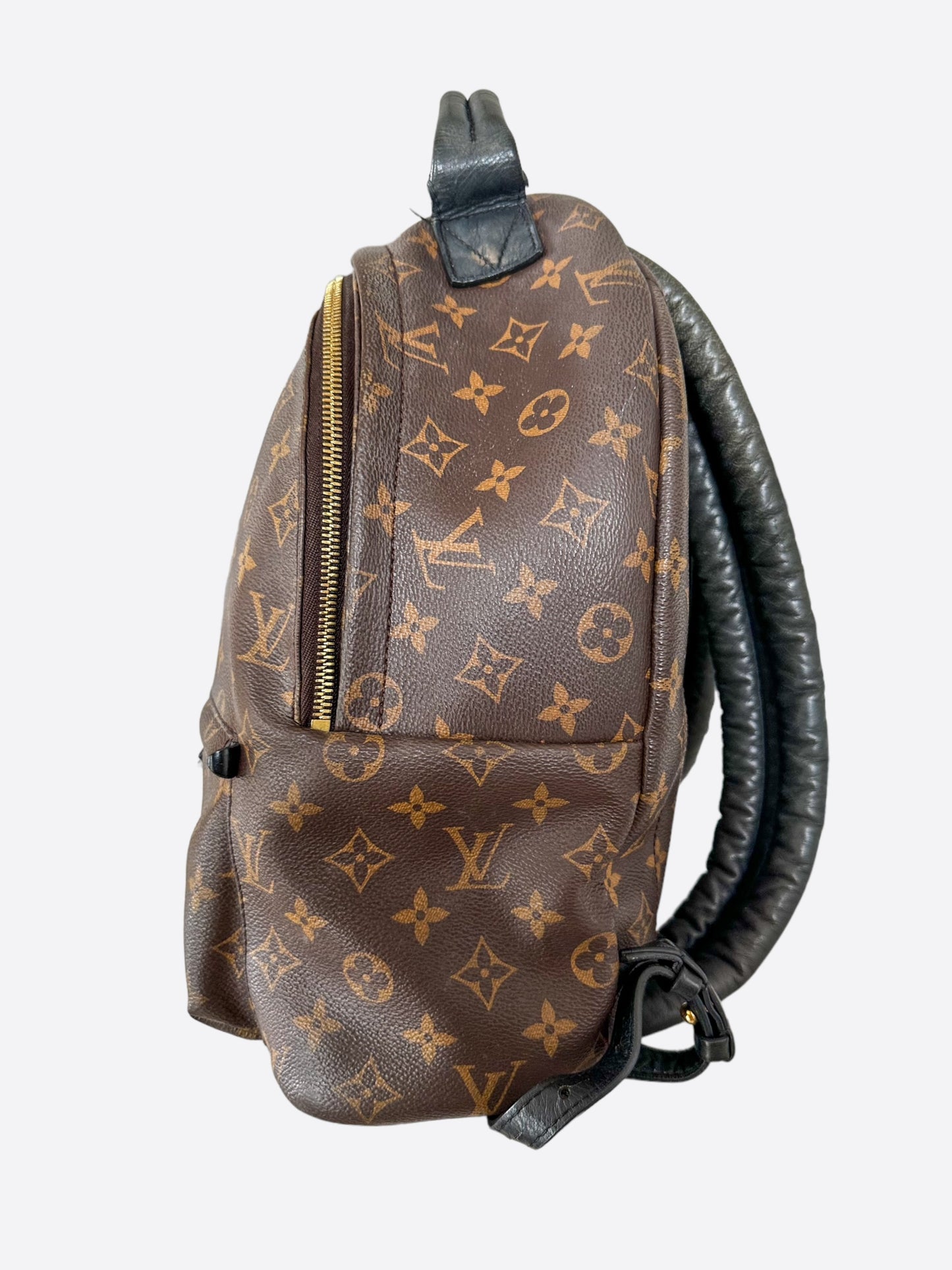 Louis Vuitton Brown Monogram Palm Springs Mini Backpack