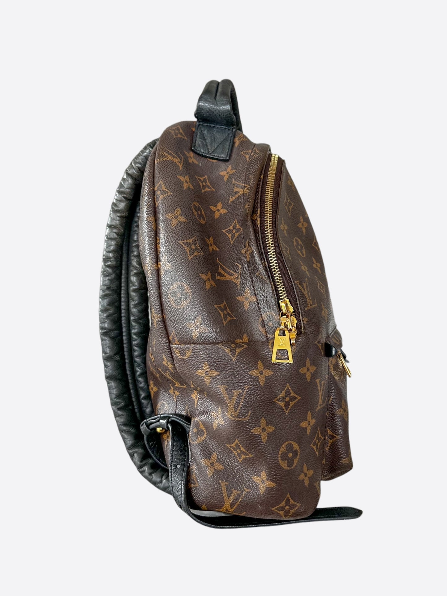 Louis Vuitton Brown Monogram Palm Springs Mini Backpack