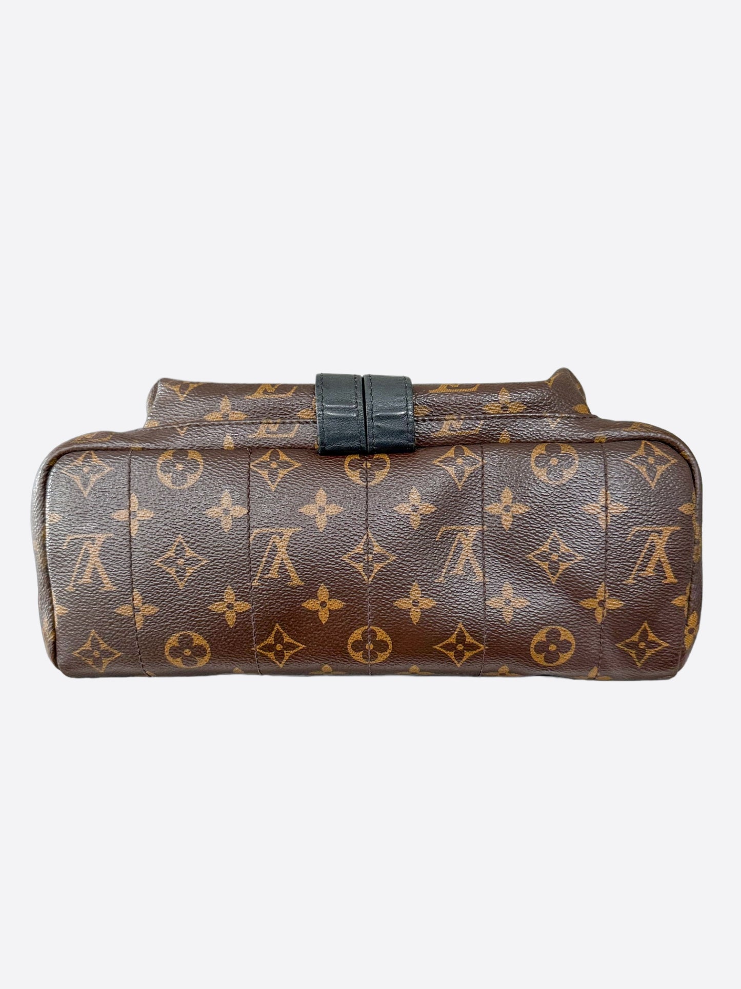 Louis Vuitton Brown Monogram Palm Springs Mini Backpack