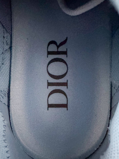 Dior Grey & Silver B30 Sneaker