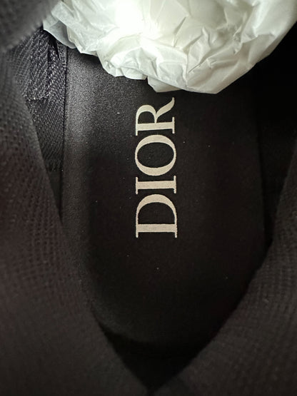 Dior Silver & White B30 Sneaker