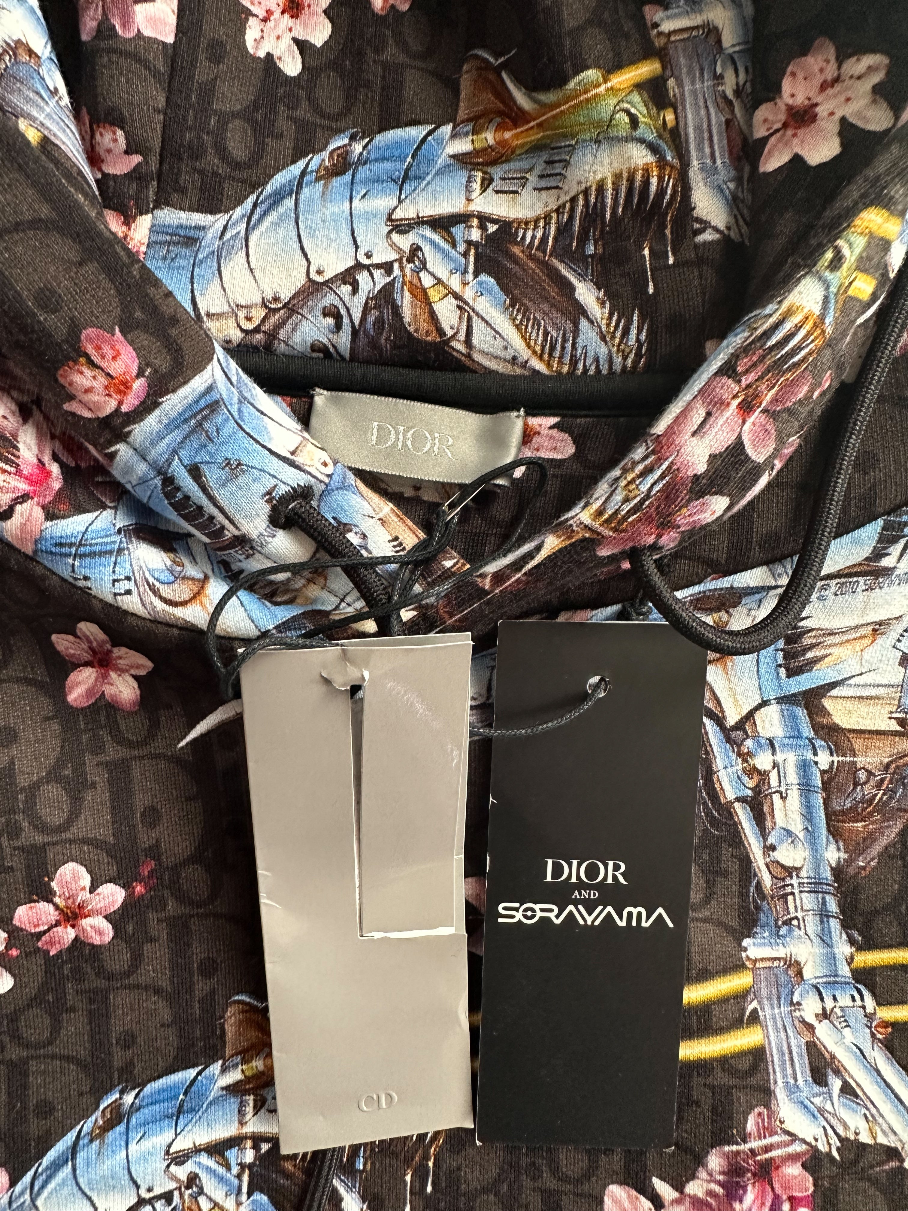 Dior hotsell dinosaur hoodie