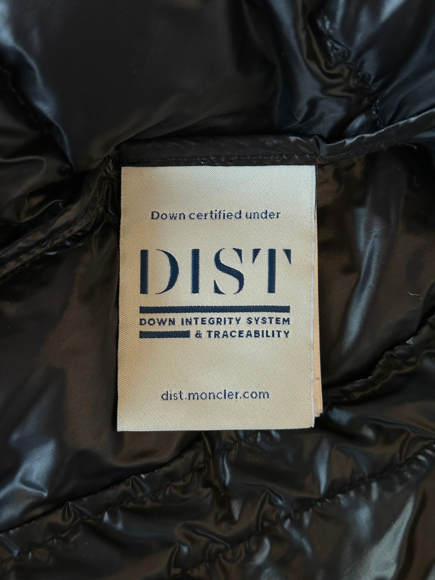 Moncler Black Acorus Down Jacket