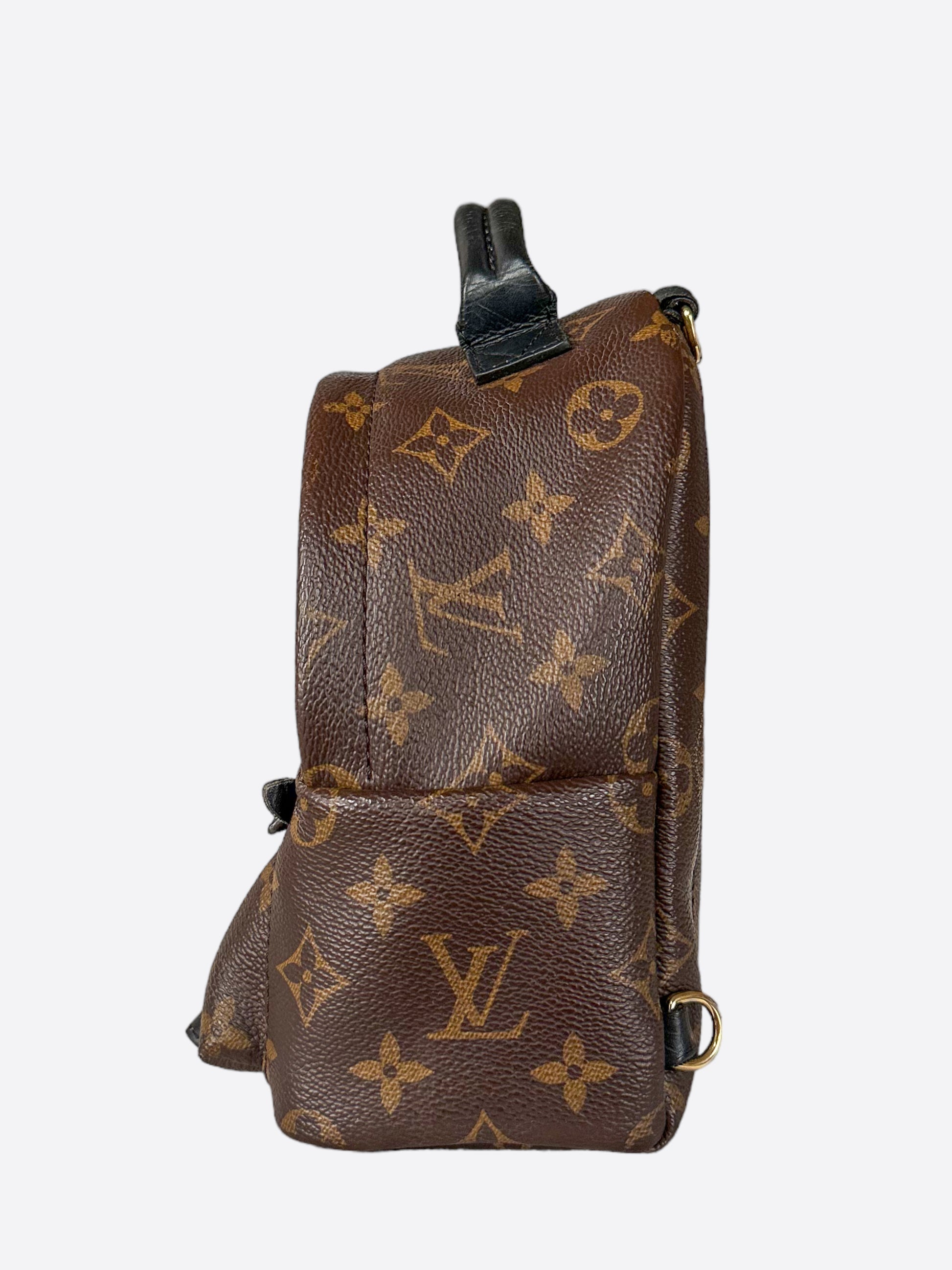 Louis Vuitton Monogram Palm Springs Brown Mini Backpack 