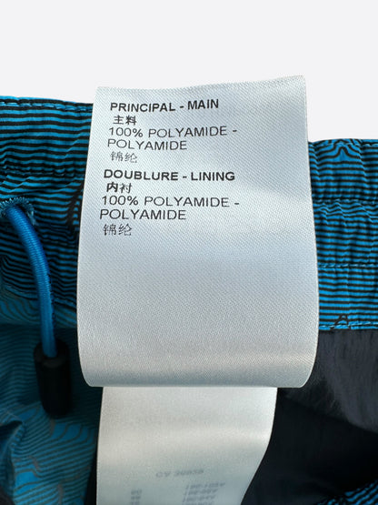 Louis Vuitton Blue 2054 Monogram Cargo Pants