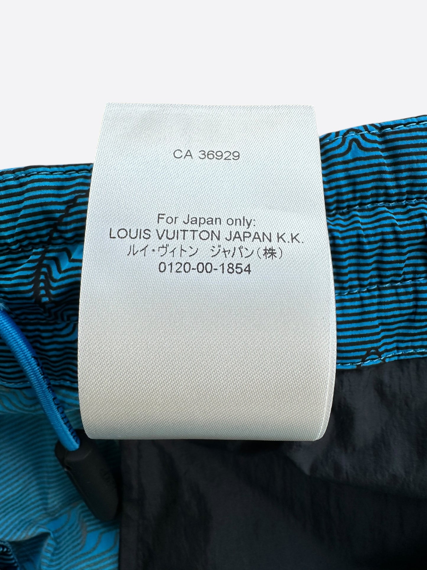 Louis Vuitton Blue 2054 Monogram Cargo Pants