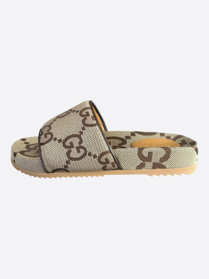 Gucci Beige & Brown GG Monogram Sandals