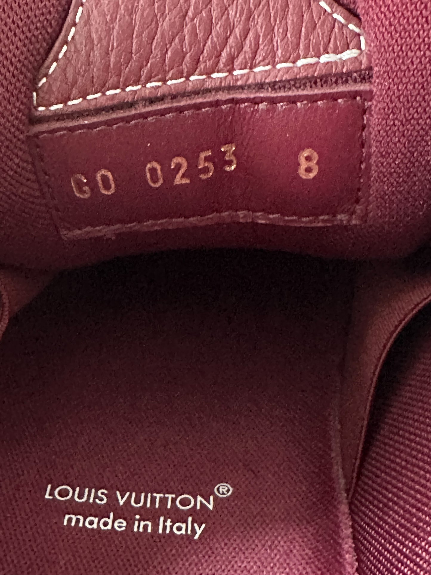 Louis Vuitton Bordeaux Skate Trainers