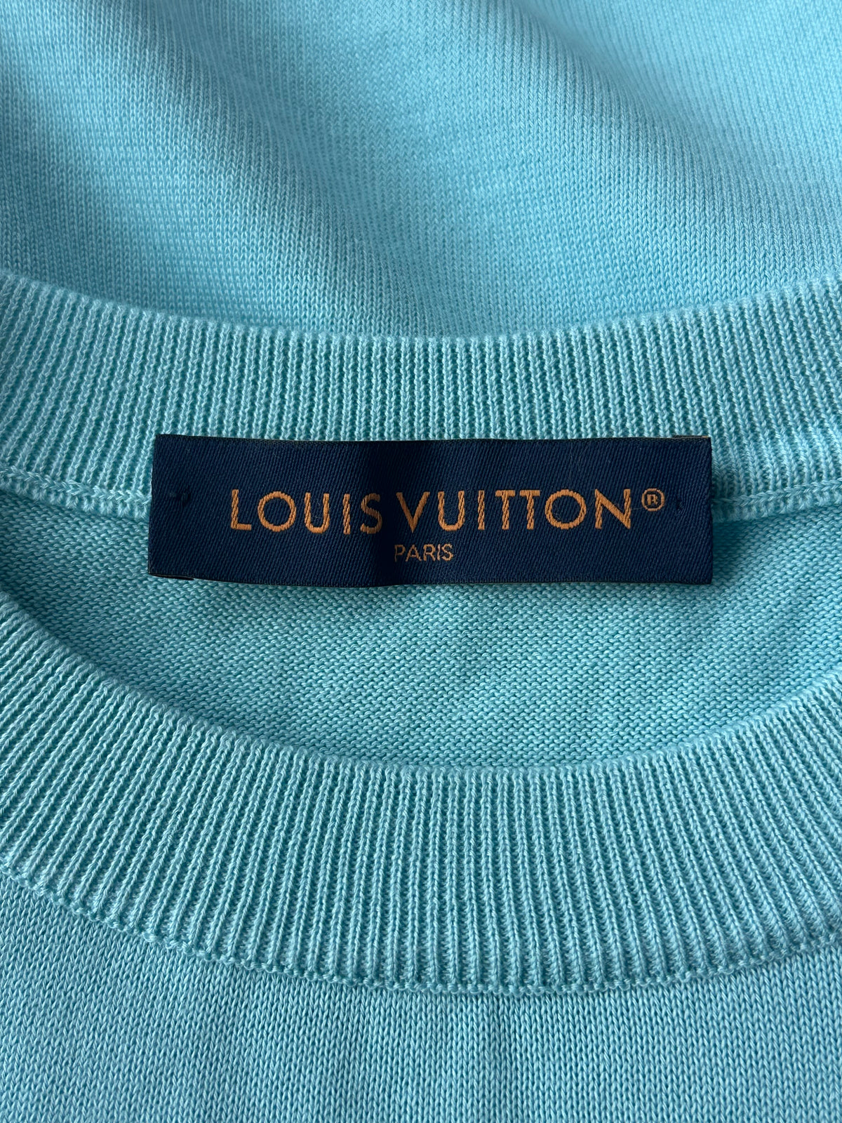 Louis Vuitton Tyler The Creator Blue & Green Dog Graphic Intarsia T-Shirt