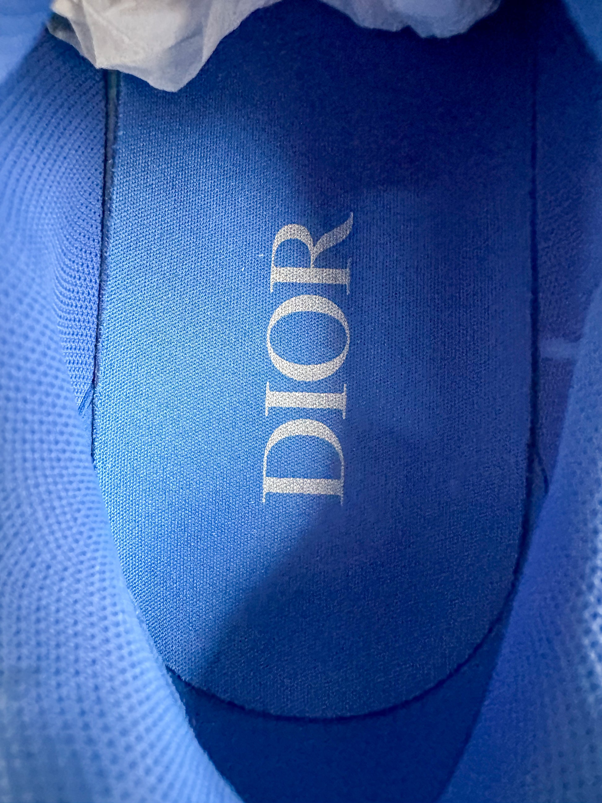 Dior B22 'Olive Blue