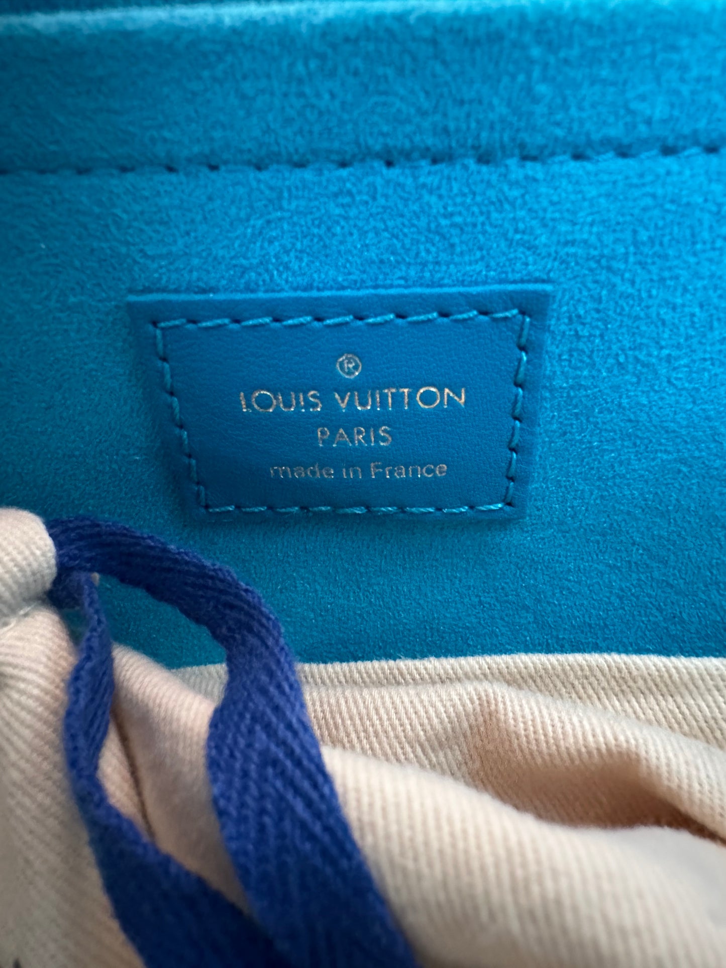 Louis Vuitton Blue Mini Monogram Leather Speedy 20