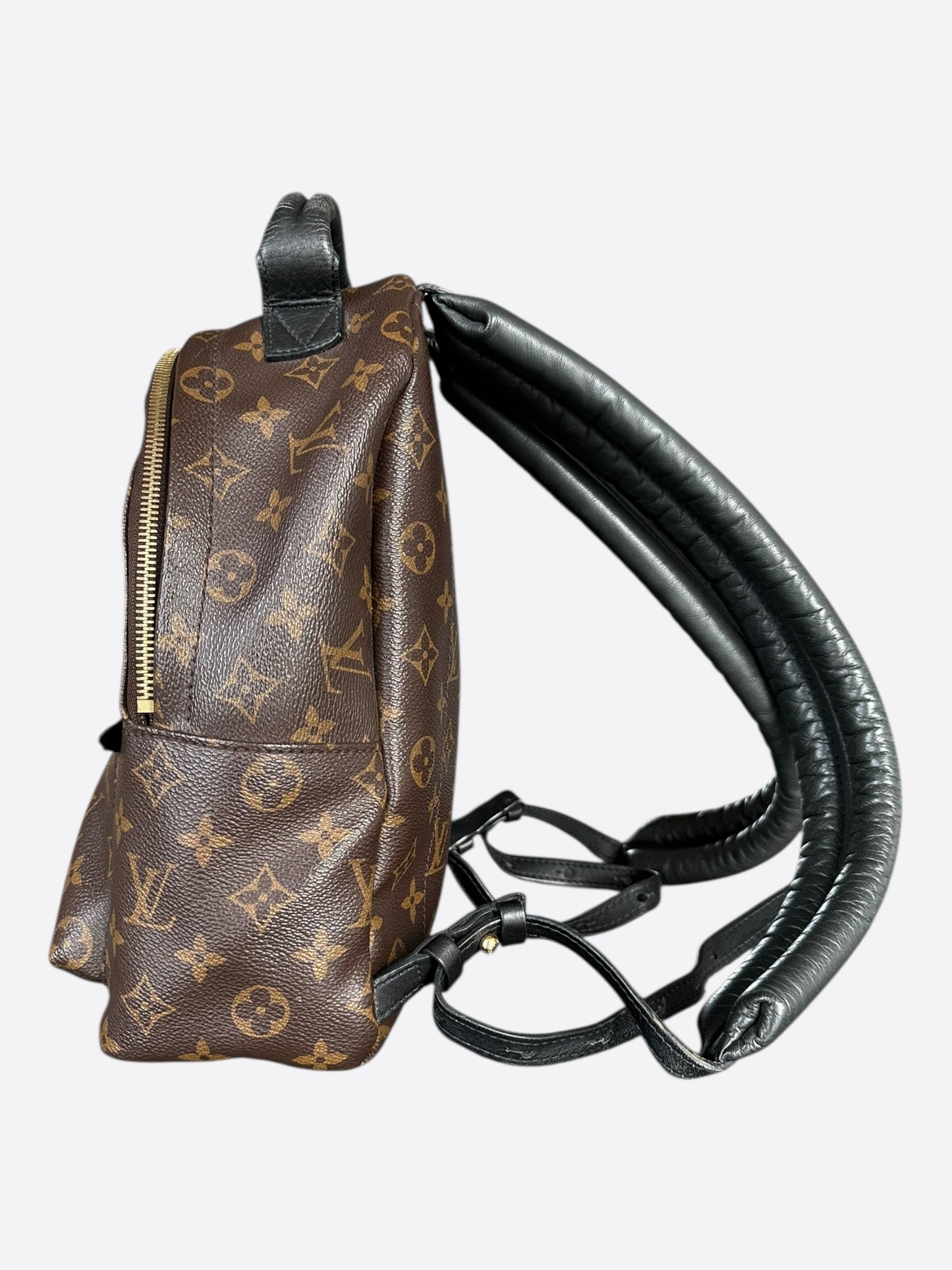 Louis Vuitton Brown Monogram Palm Springs Mini Backpack
