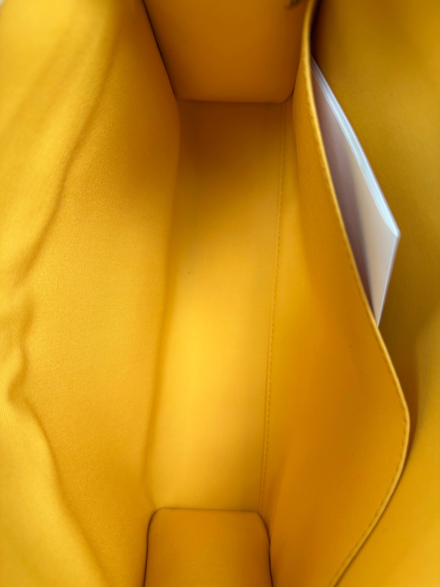 Goyard Green Jouvence MM Toiletry Bag