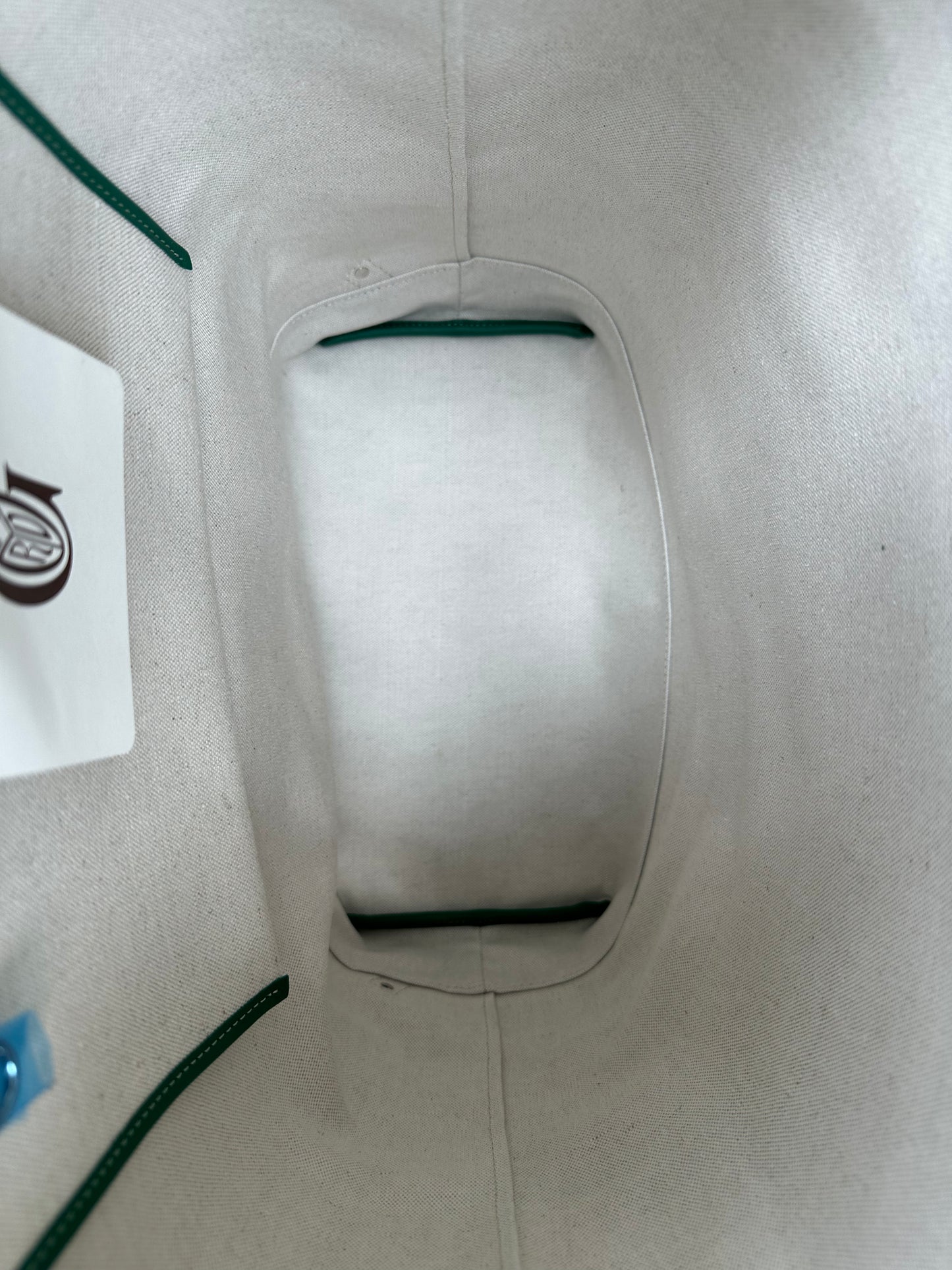 Goyard Green Cisalpin Backpack