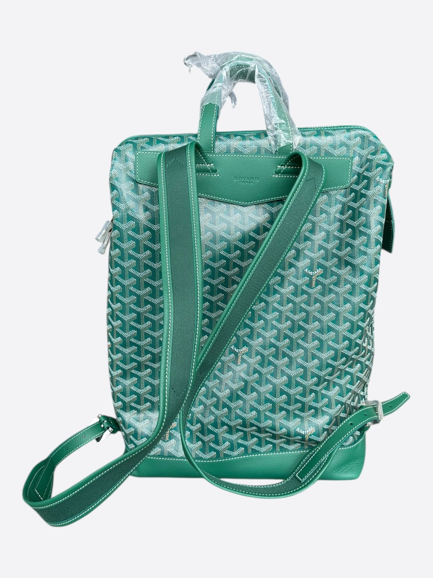 Goyard Green Cisalpin Backpack