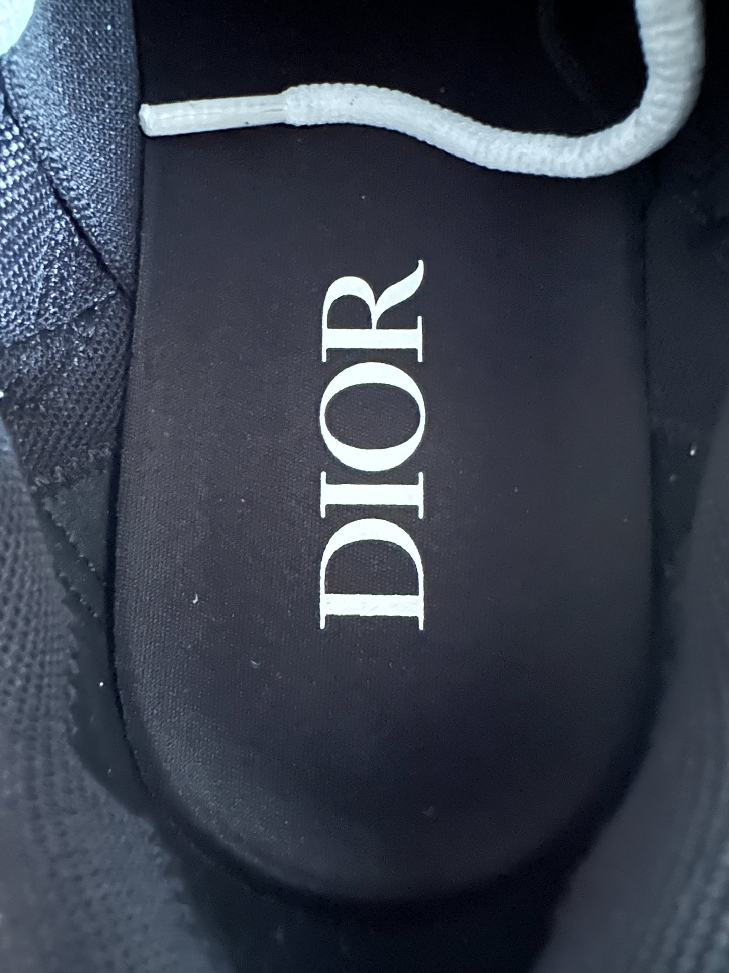 Dior Brown & Grey B30 Sneaker