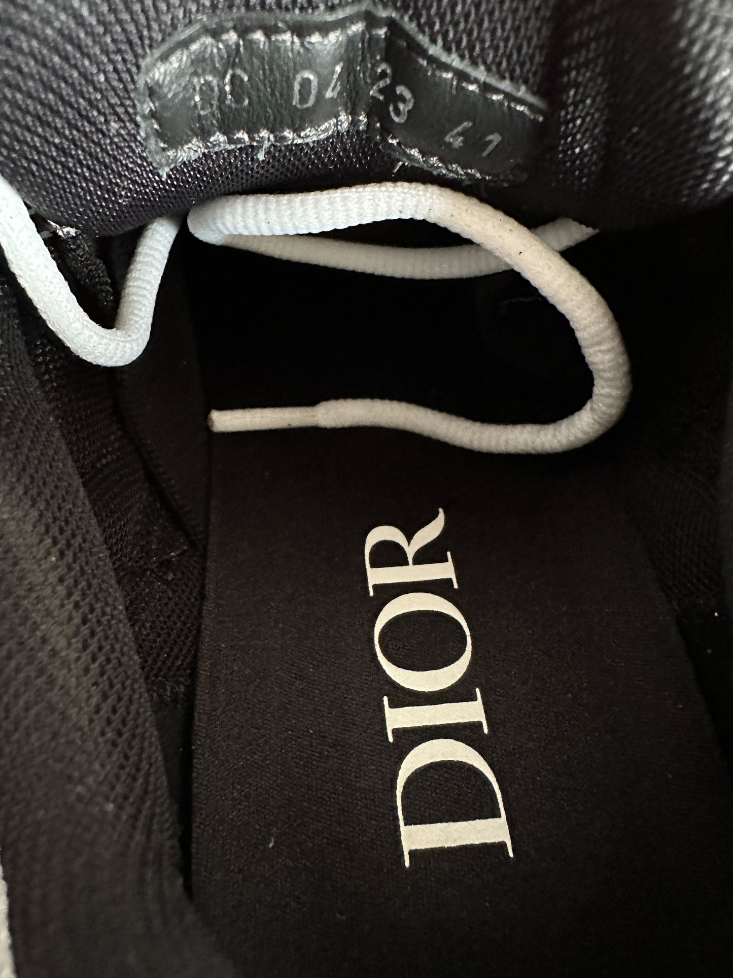 Dior Brown & Grey B30 Sneaker