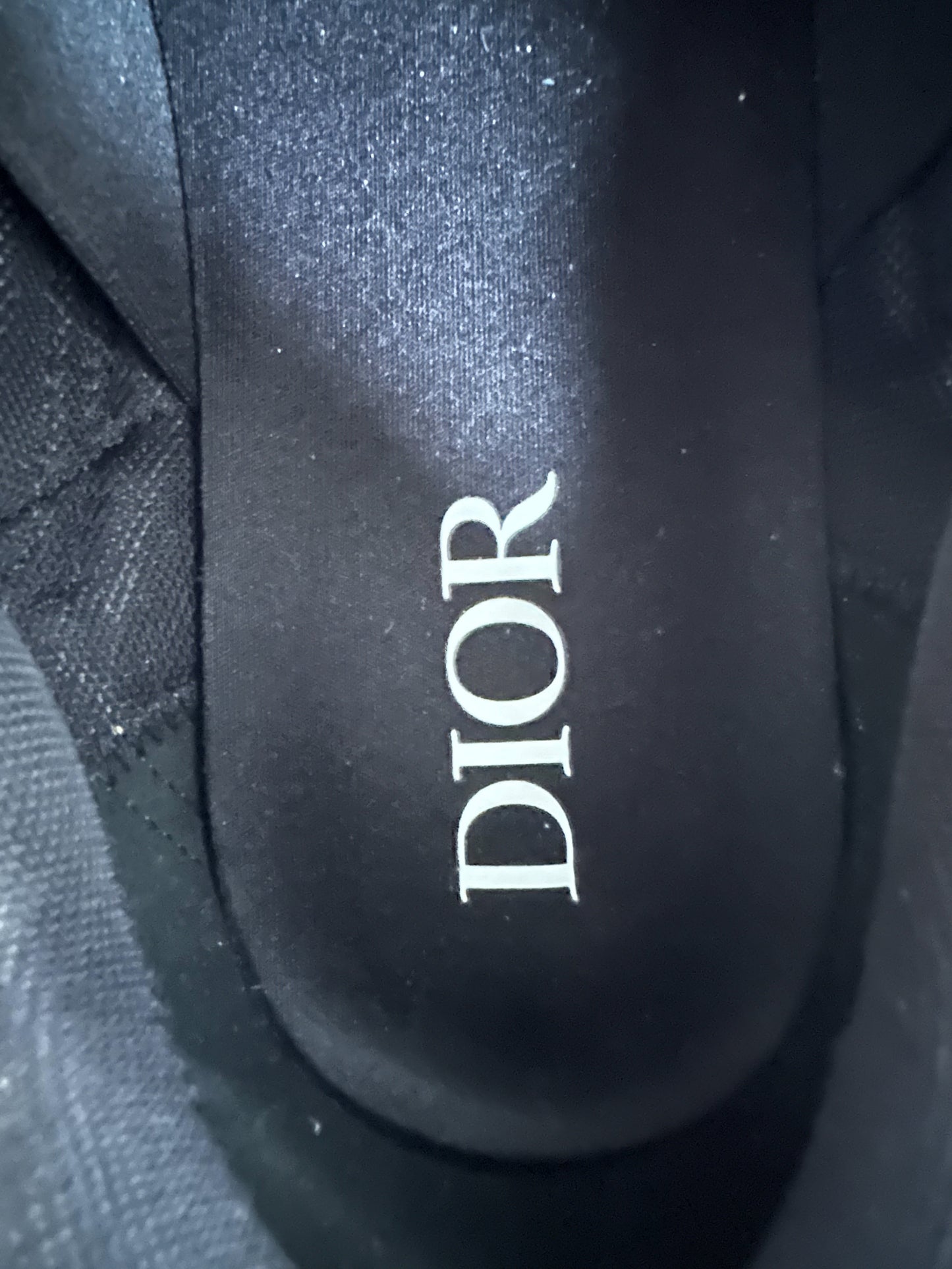 Dior Brown & Orange B30 Sneaker