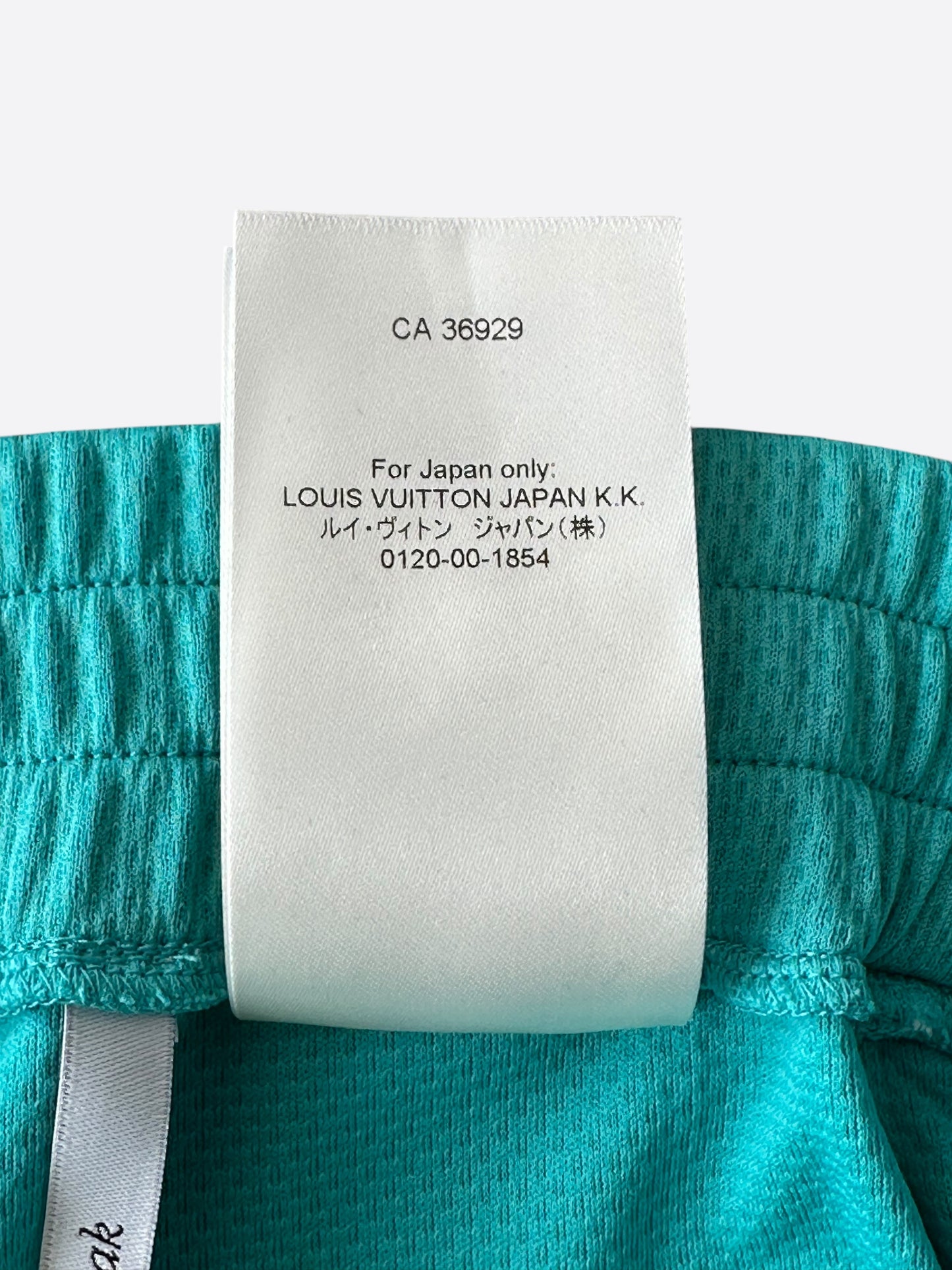 Louis Vuitton Turquoise Lightning Logo Shorts