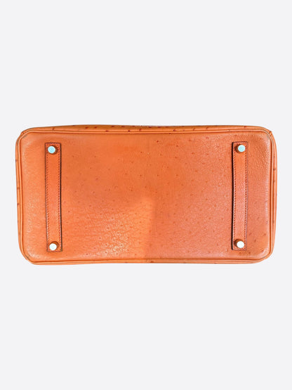 Hermes Brown Ostrich Birkin 35