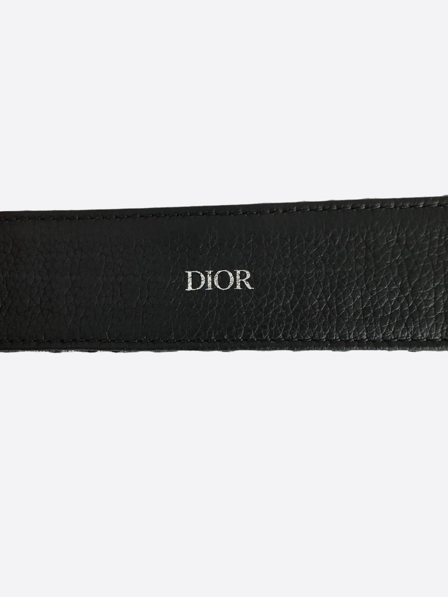 Dior Beige & Blue Oblique Silver Buckle Belt