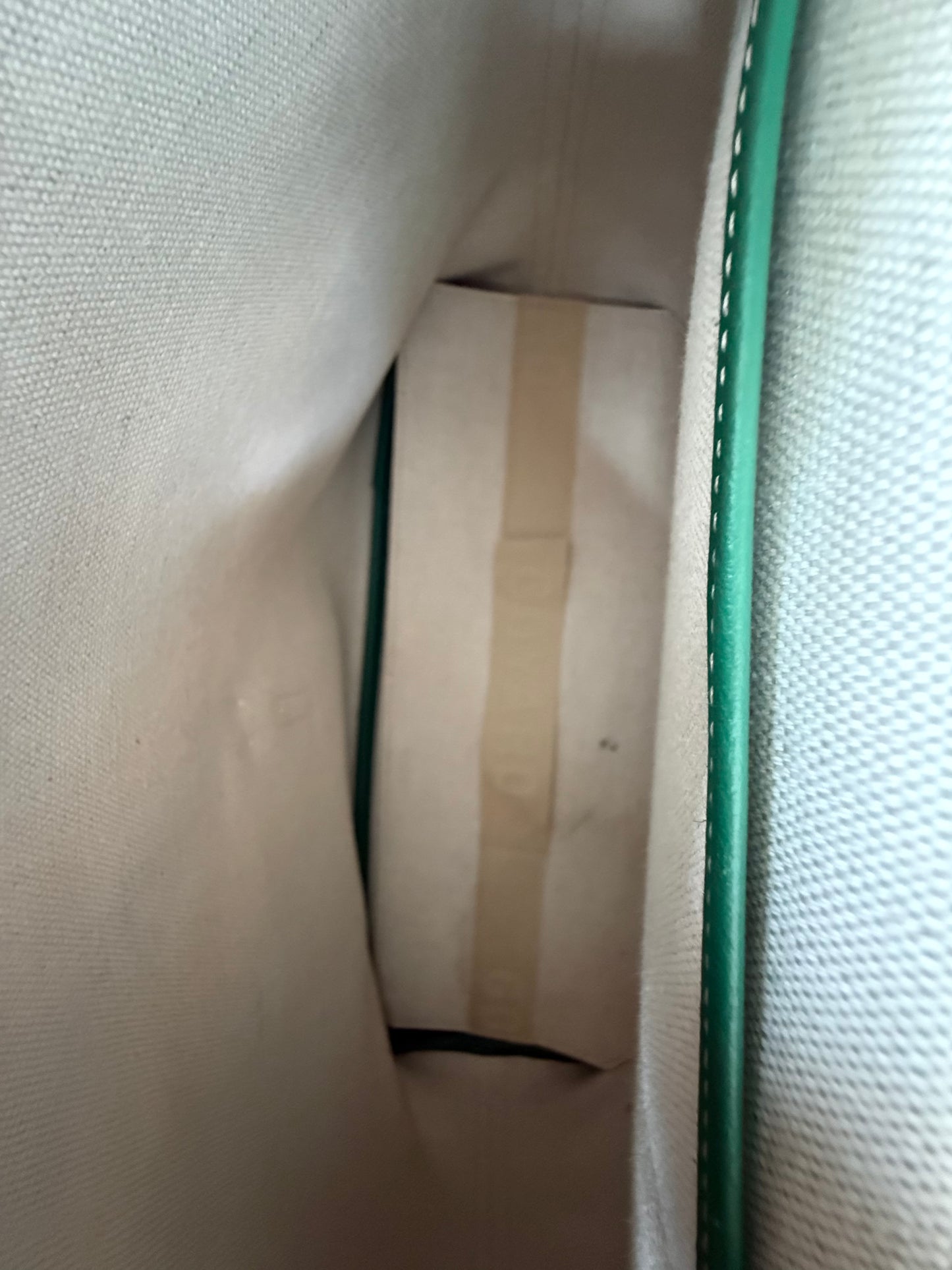 Goyard Green Capetien MM Messenger Bag
