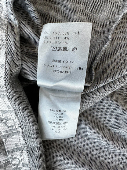 Dior Daniel Arsham Grey Oblique T-Shirt