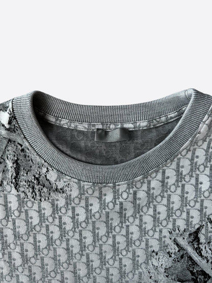 Dior Daniel Arsham Grey Oblique T-Shirt