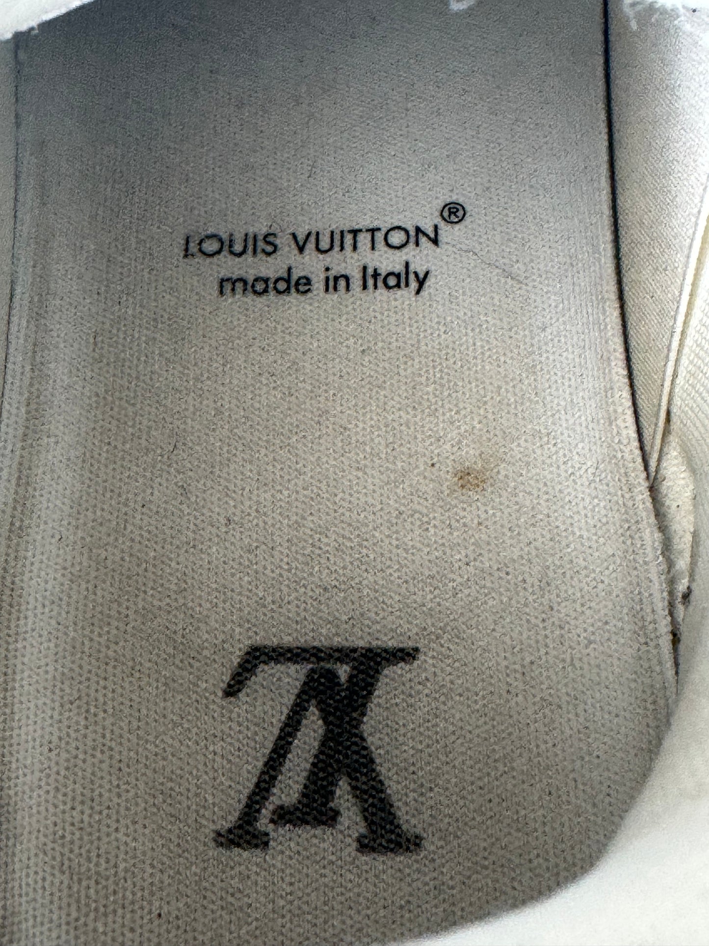 Louis Vuitton Blue Maxi Trainer