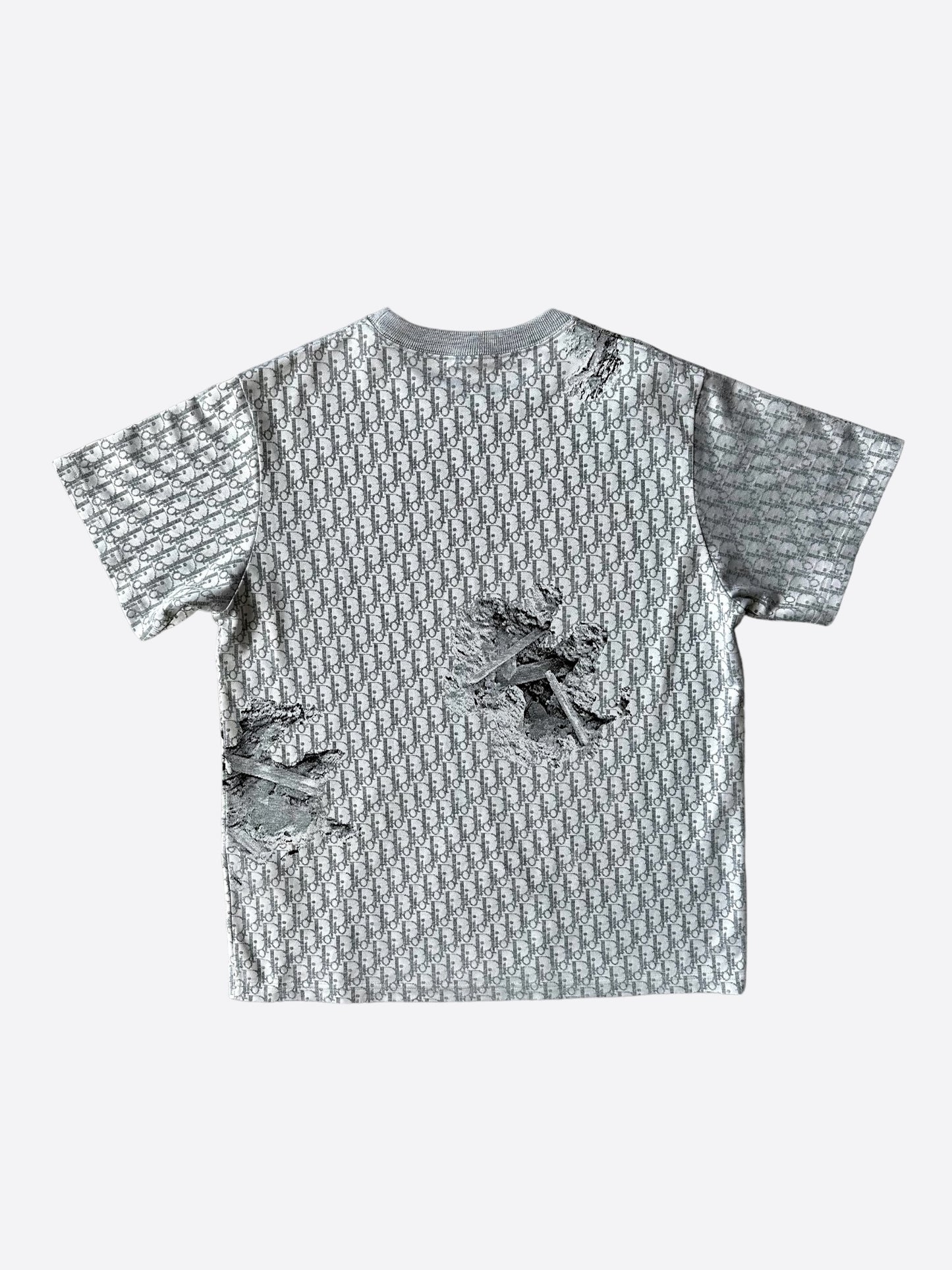 Dior Daniel Arsham Grey Oblique T-Shirt