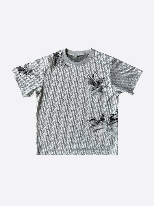 Dior Daniel Arsham Grey Oblique T-Shirt