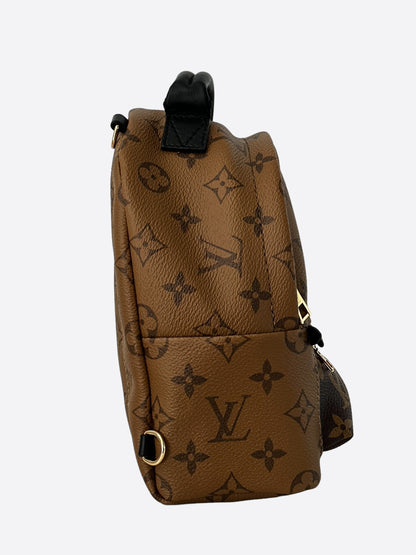 Louis Vuitton Brown Reverse Monogram Palm Springs Mini