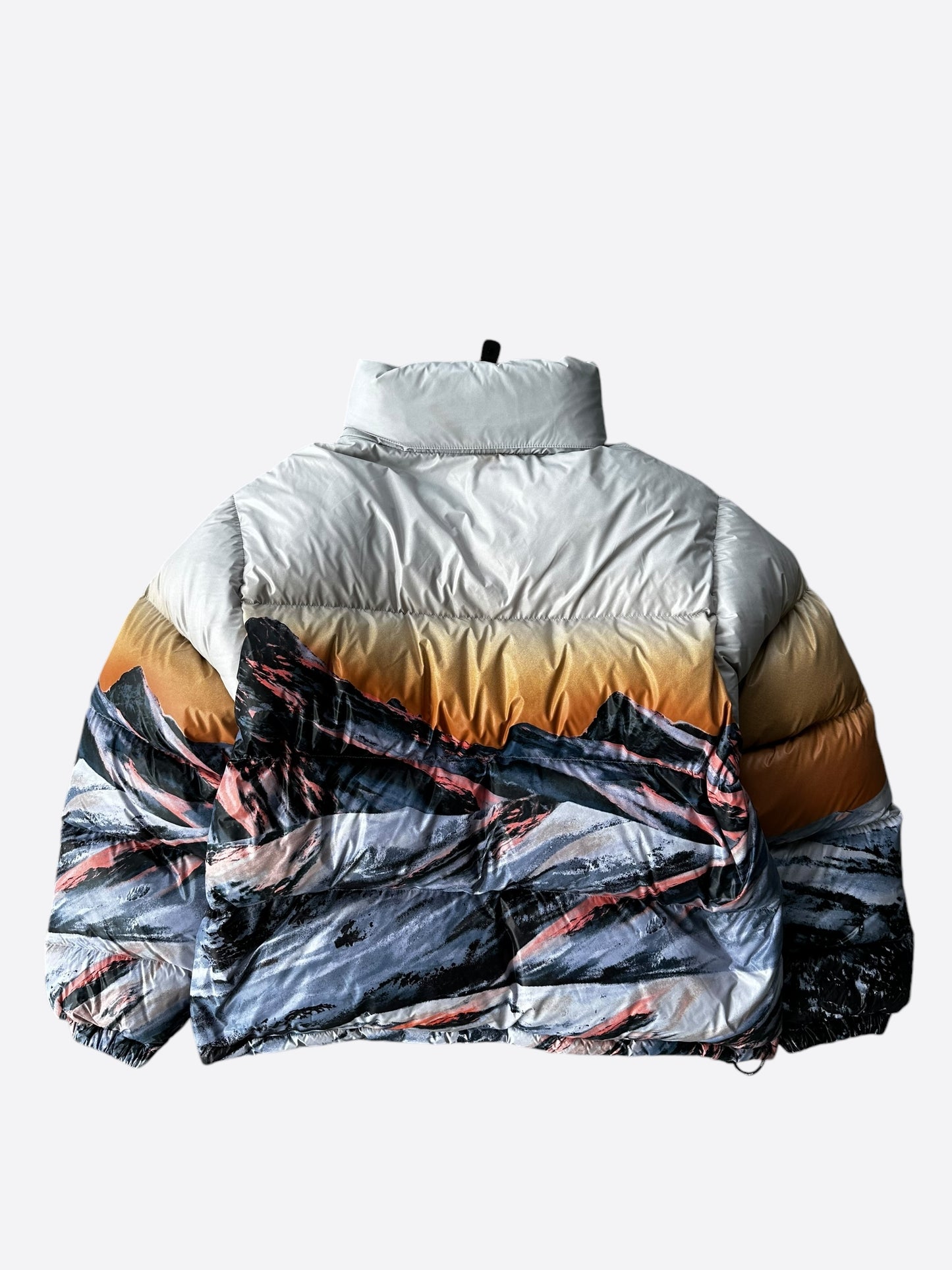 Louis Vuitton Mountain Print Puffer Women's Jacket