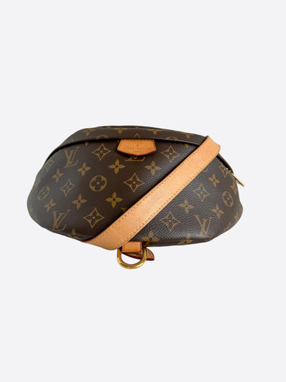 Louis Vuitton Brown Monogram Bumbag