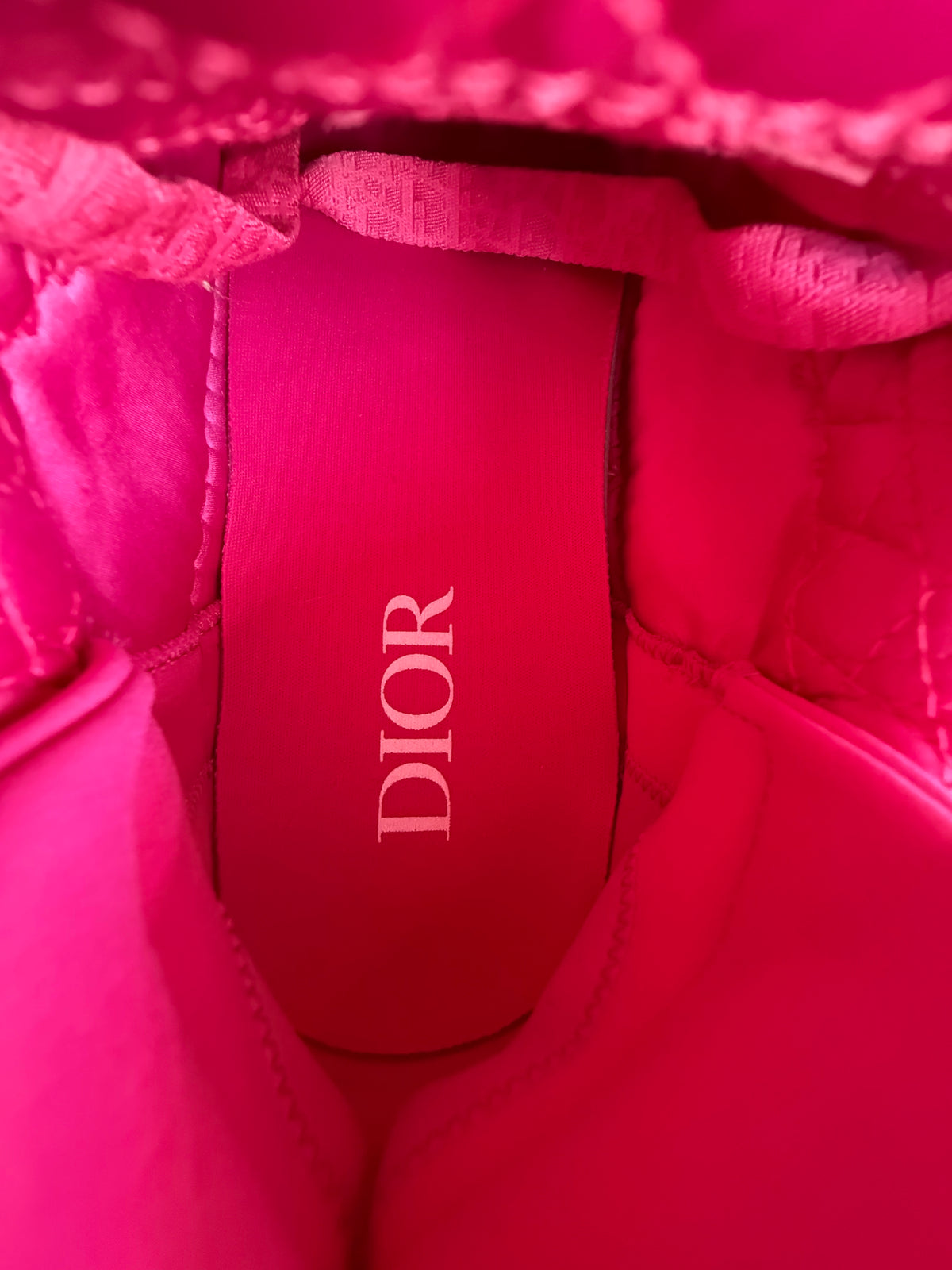 Dior ERL Pink Quilted Skater B9S Sneaker