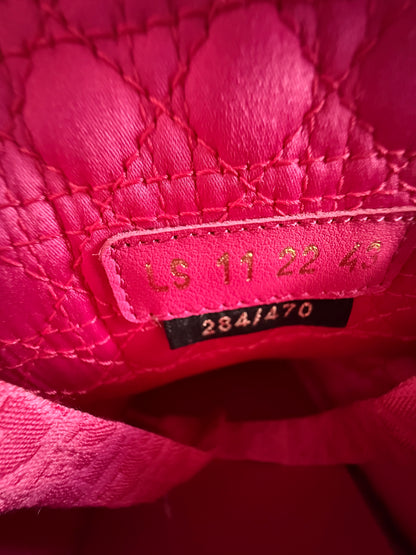Dior ERL Pink Quilted Skater B9S Sneaker