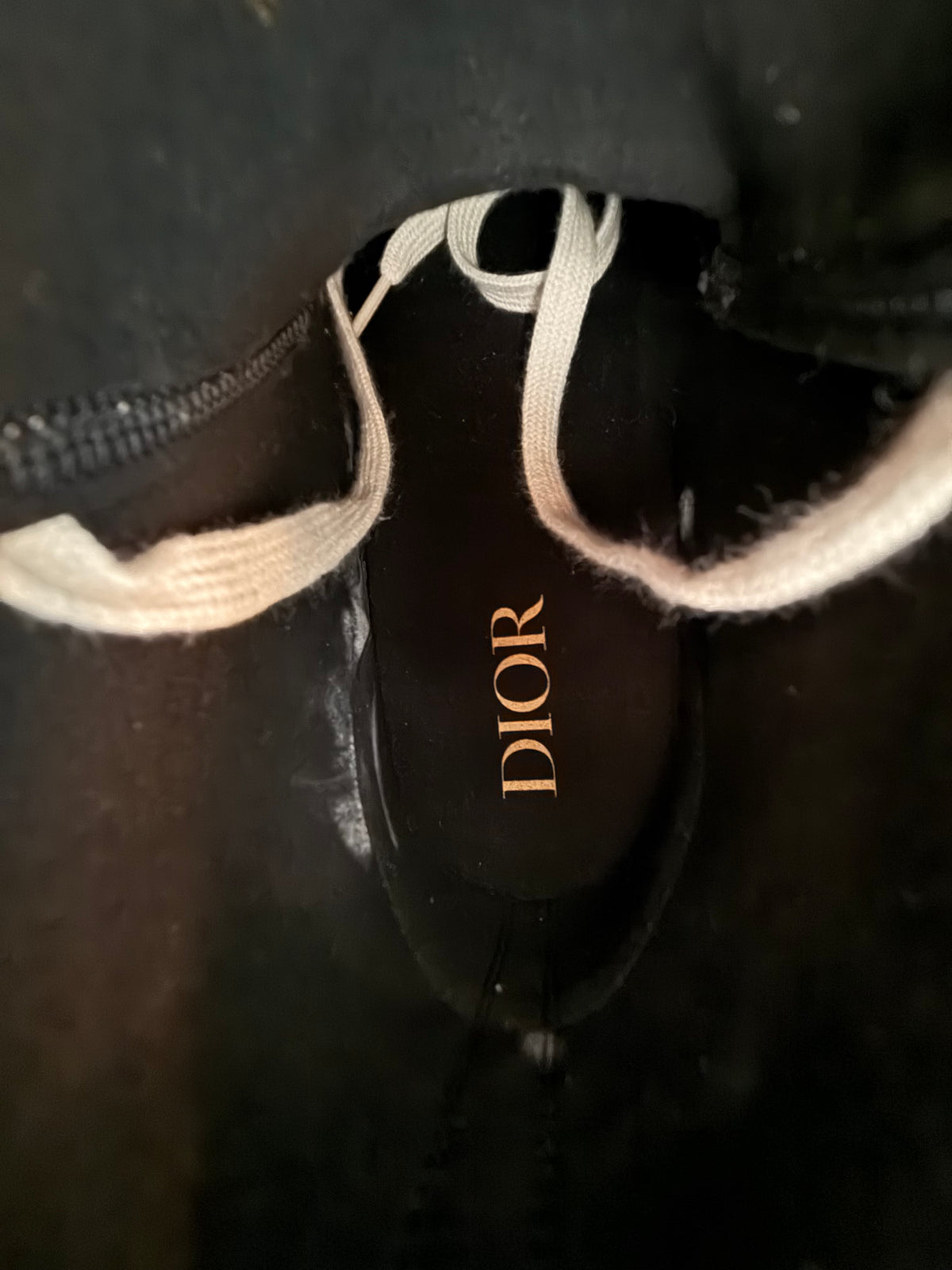 Dior Beige & Blue Oblique Tapestry B23 High Top Sneakers