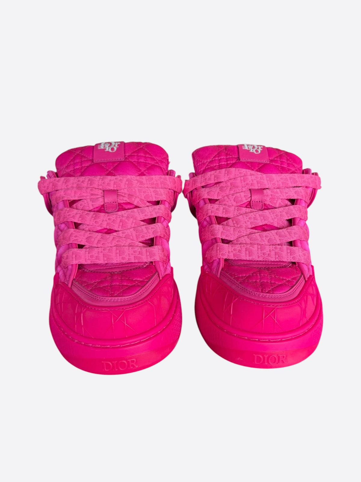 Dior ERL Pink Quilted Skater B9S Sneaker