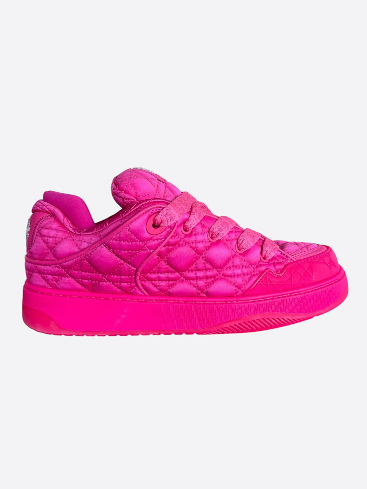 Dior ERL Pink Quilted Skater B9S Sneaker