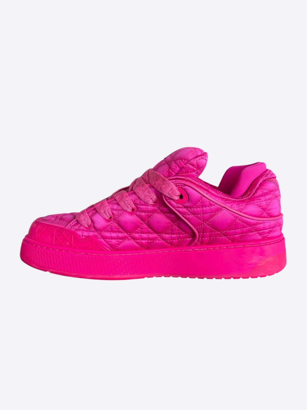 Dior ERL Pink Quilted Skater B9S Sneaker