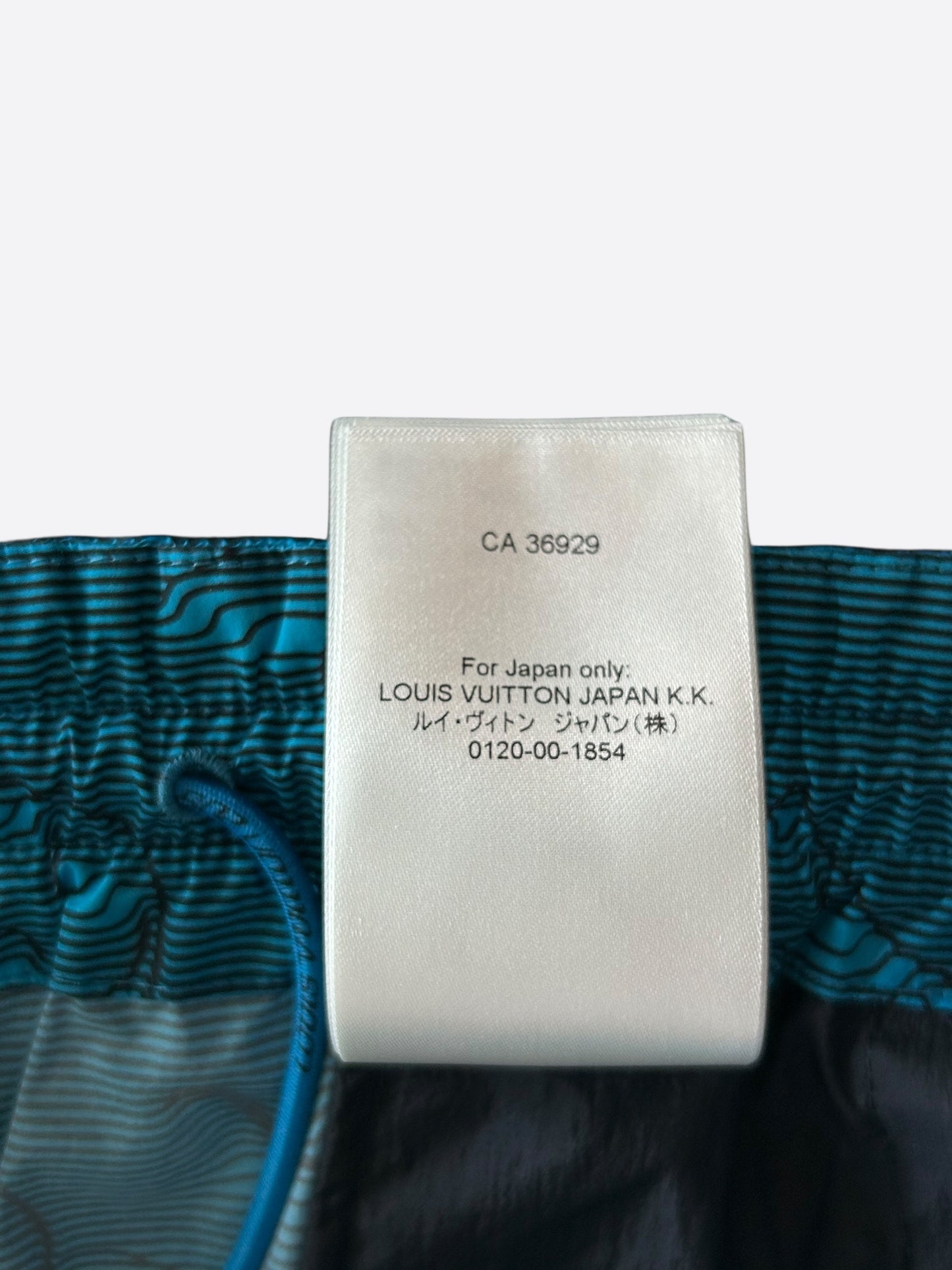 Louis Vuitton Blue 2054 Monogram Cargo Pants