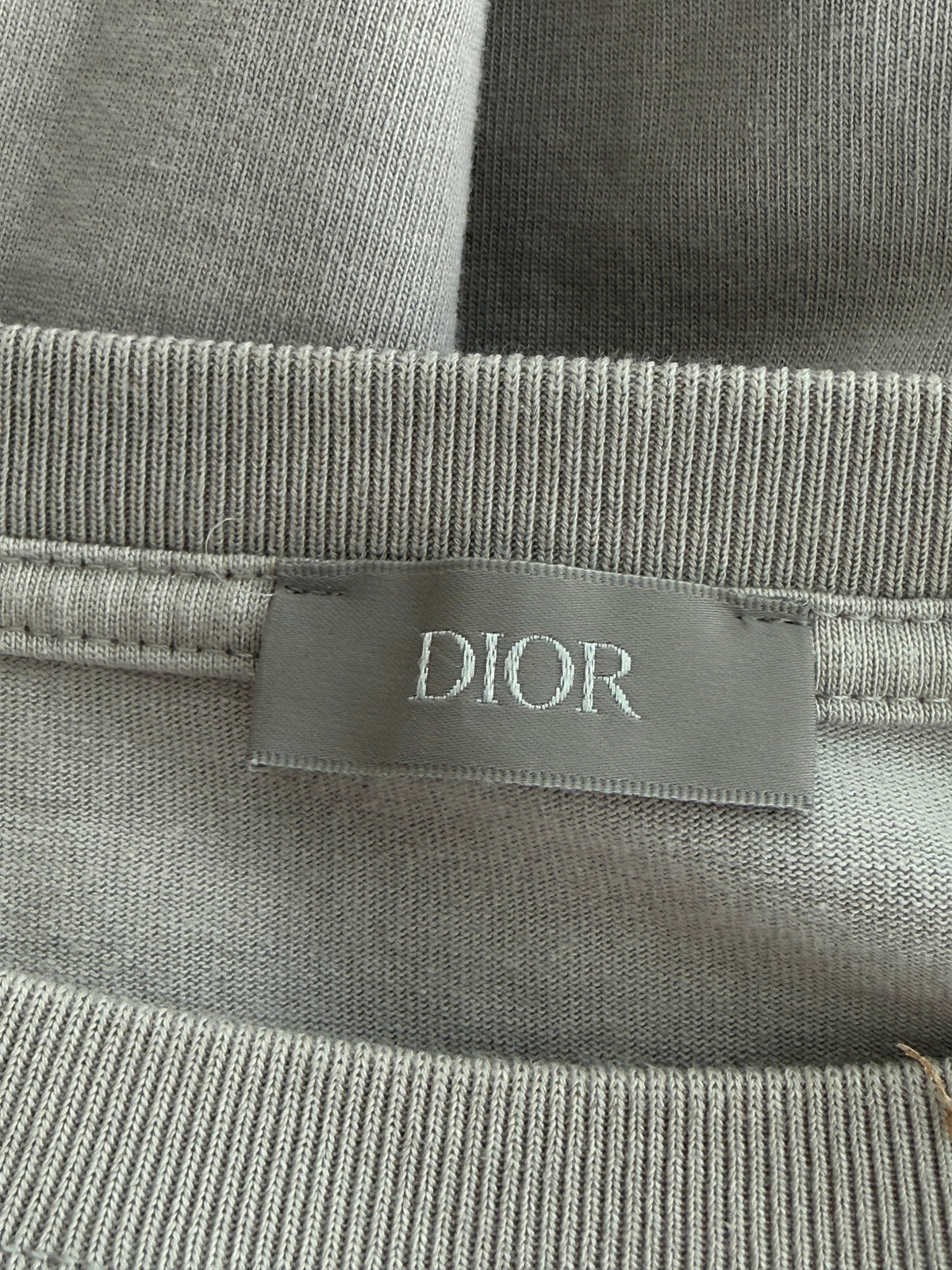 Dior Air Jordan Grey Embroidered Logo T-Shirt