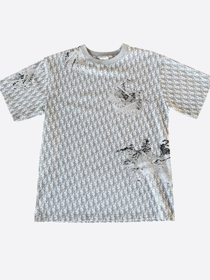Dior Daniel Arsham Grey Oblique T-Shirt