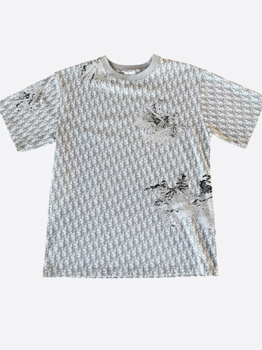 Dior Daniel Arsham Grey Oblique T-Shirt