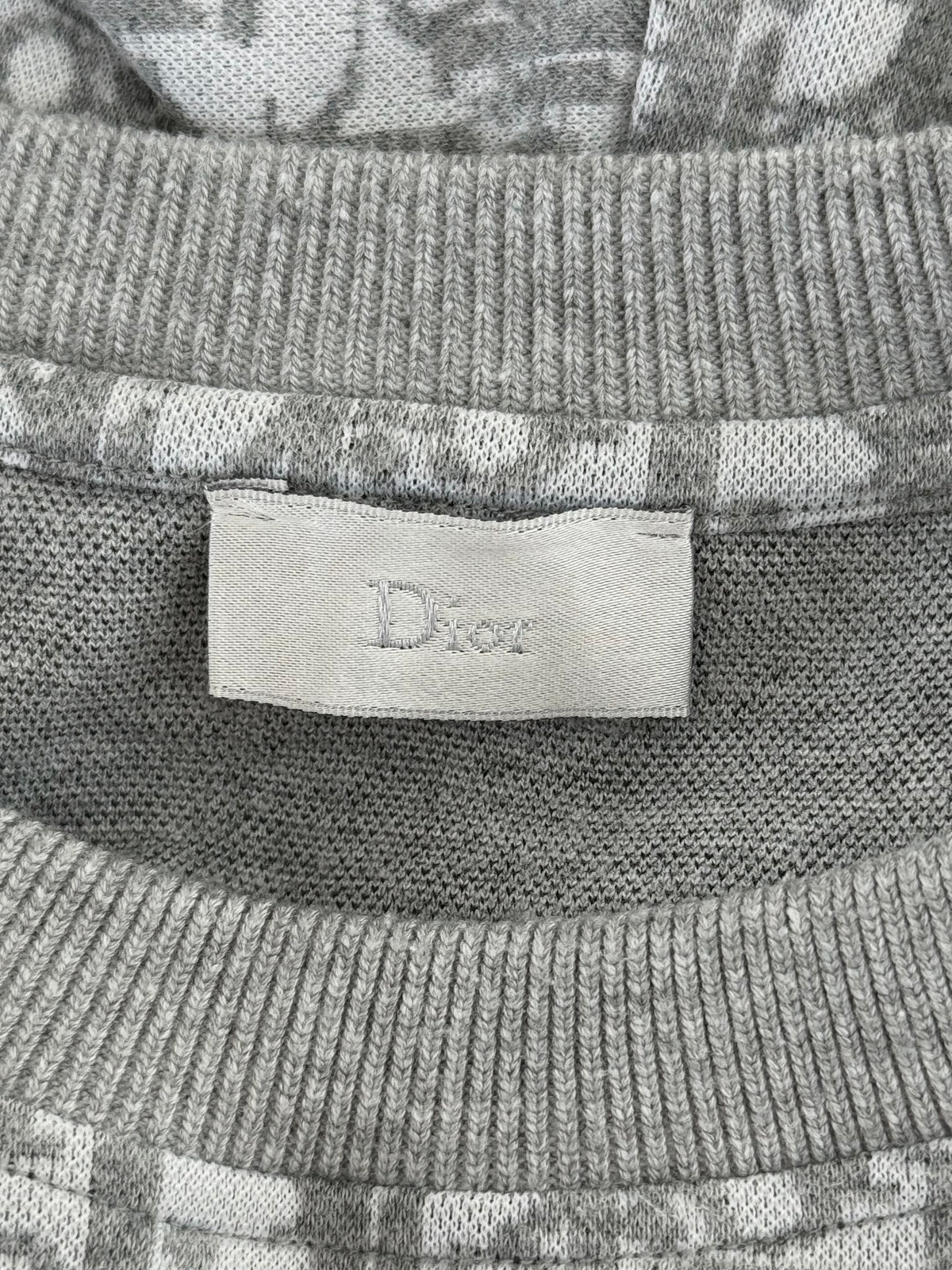 Dior Daniel Arsham Grey Oblique T-Shirt