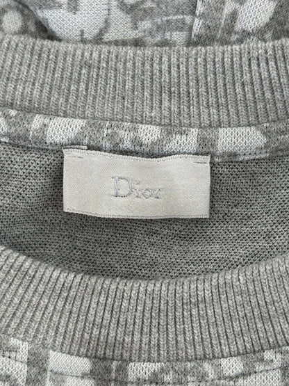 Dior Daniel Arsham Grey Oblique T-Shirt