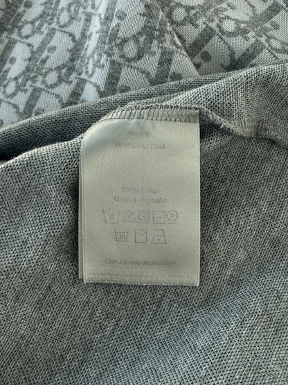 Dior Daniel Arsham Grey Oblique T-Shirt